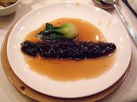 Sea Cucumber