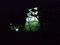 Hisosaki Castle