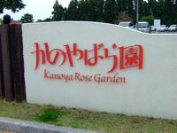 Kanoya Rose Garden