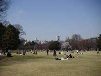 Shinjyuku Gyoen