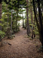 The Path To Nanzenji