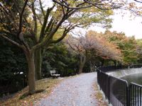 Yamashina Canal