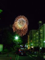 Kanazawa Firework