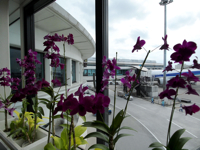 Naha Airport