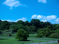 Rikugi-en Garden