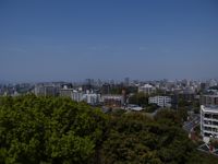 Scene From Observation Deck 