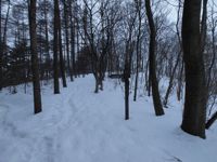 Snowy Mountain Path