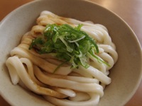 Ise Udon